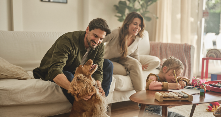 alarmas comunitarias