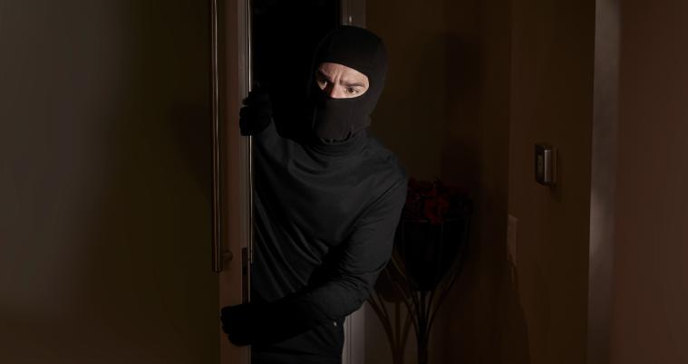 seguridad privada