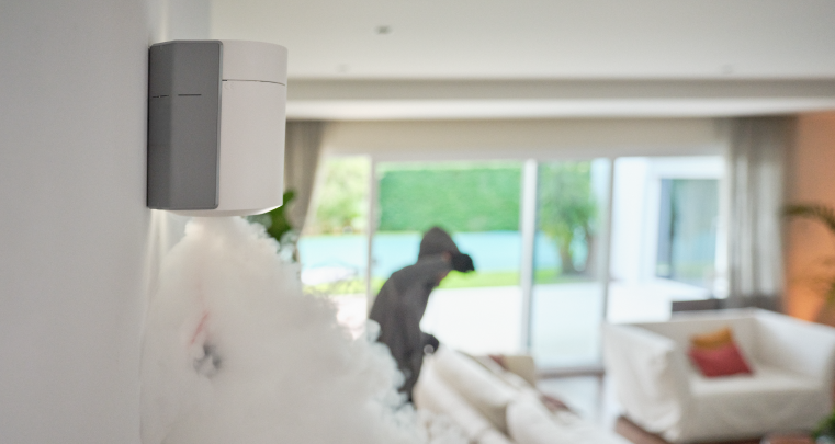 Zerovision expulsando al ladron