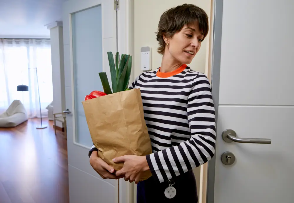 mando de control y panel