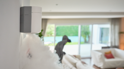 Zerovision expulsando al ladron